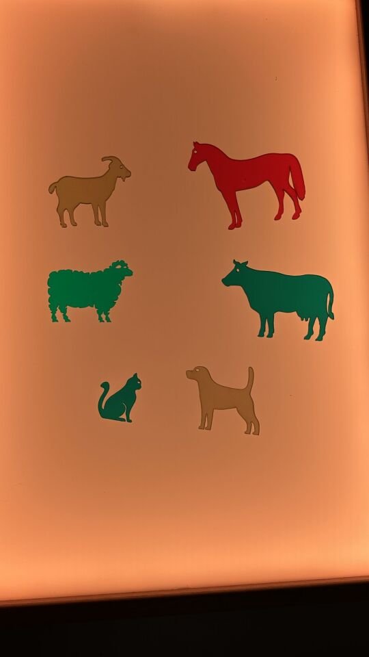 Işıklı Masa Oyunlar Pleksi Çiftlik