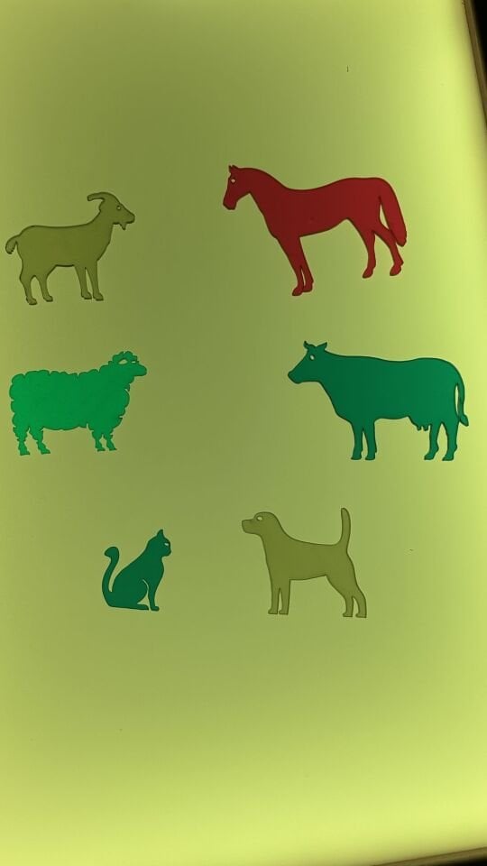 Işıklı Masa Oyunlar Pleksi Çiftlik