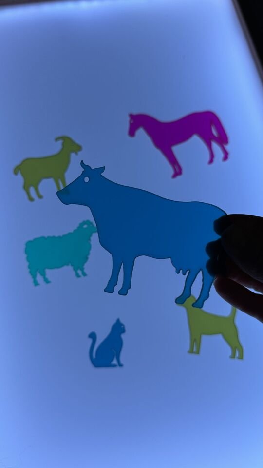 Işıklı Masa Oyunlar Pleksi Çiftlik