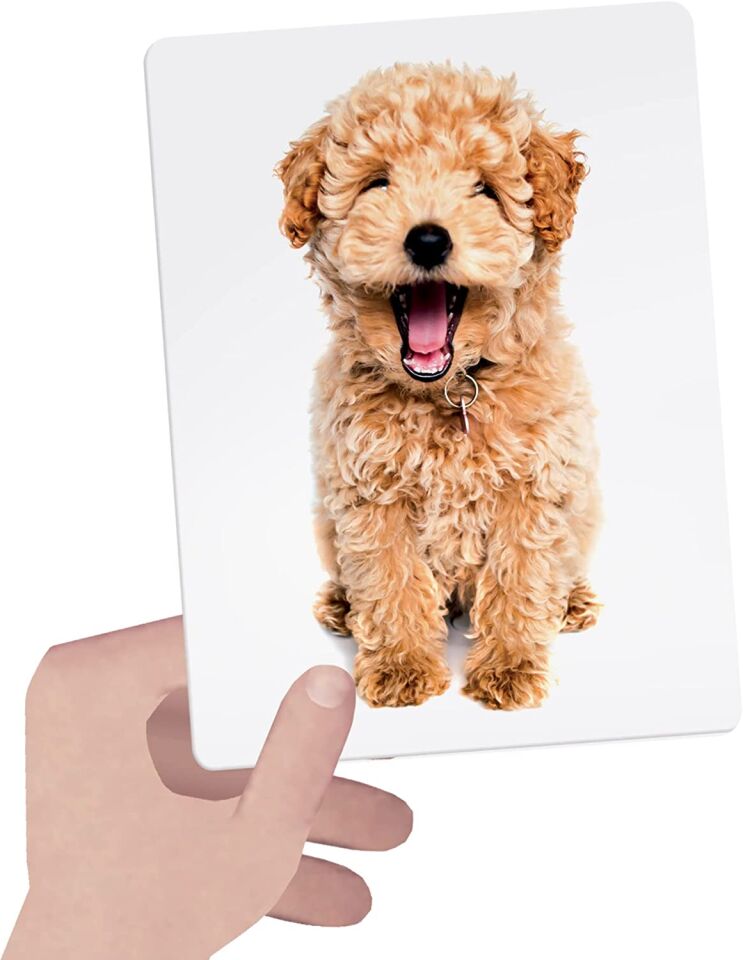 Headu Flashcards Tactile Montessori ( Dokulu Kartlar )