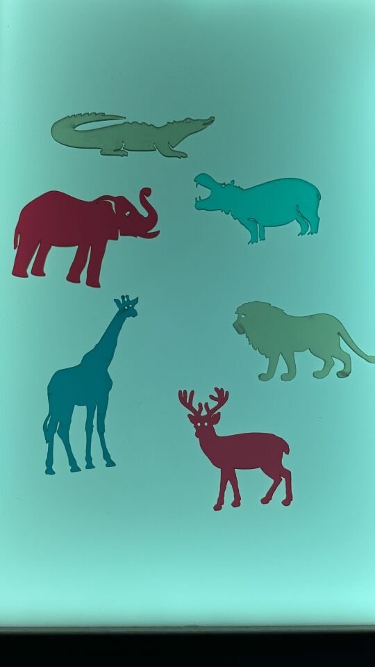 Işıklı Masa Oyunlar Pleksi Safari