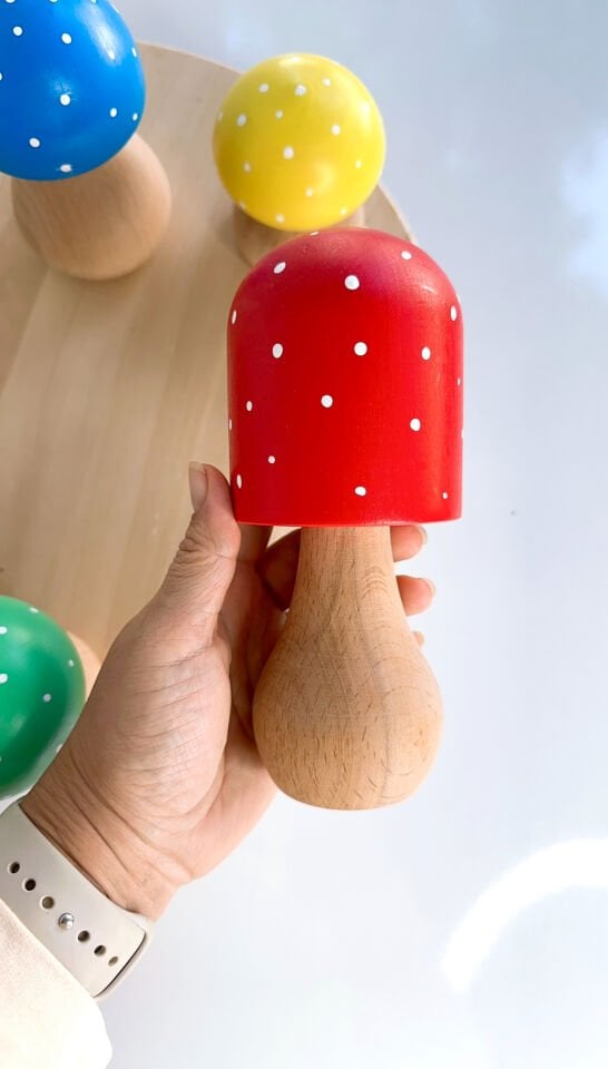 Waldorf Ahşap Oyuncak Büyük Boy Mantar Seti (5 adet)