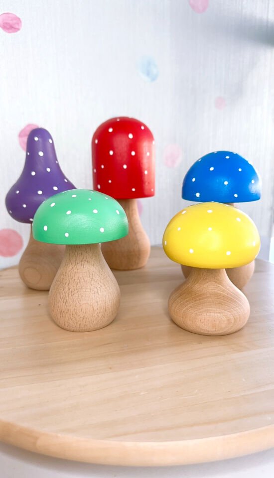 Waldorf Ahşap Oyuncak Büyük Boy Mantar Seti (5 adet)