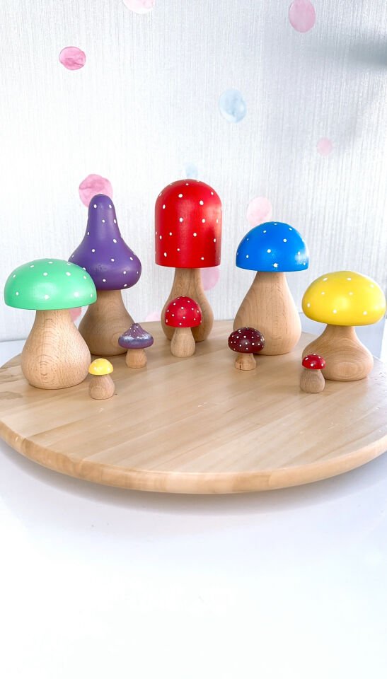 Waldorf Ahşap Oyuncak Büyük Boy Mantar Seti (5 adet)