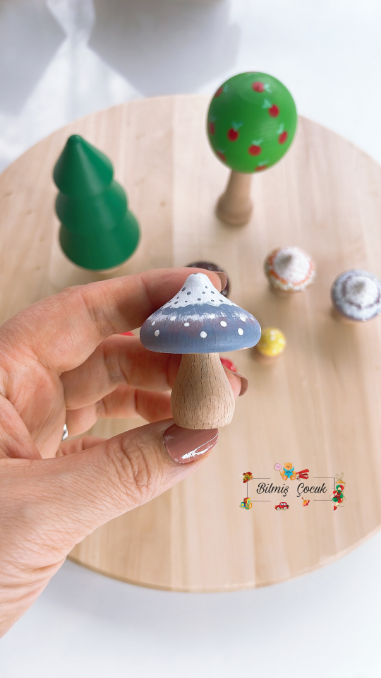 Waldorf Ahşap Oyuncak Mantar ve Ağaç Seti ( 9 parça)