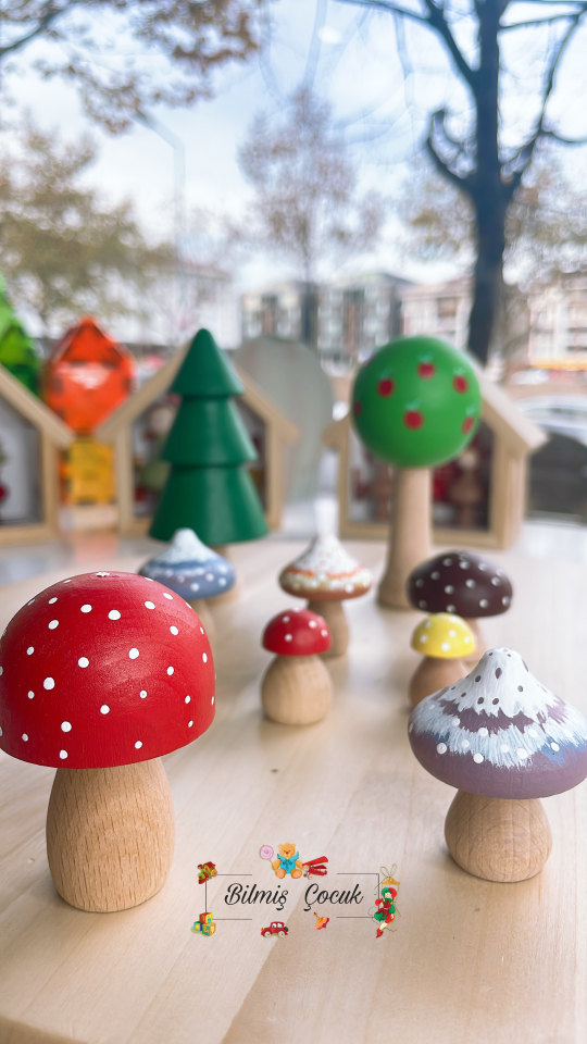 Waldorf Ahşap Oyuncak Mantar ve Ağaç Seti ( 9 parça)