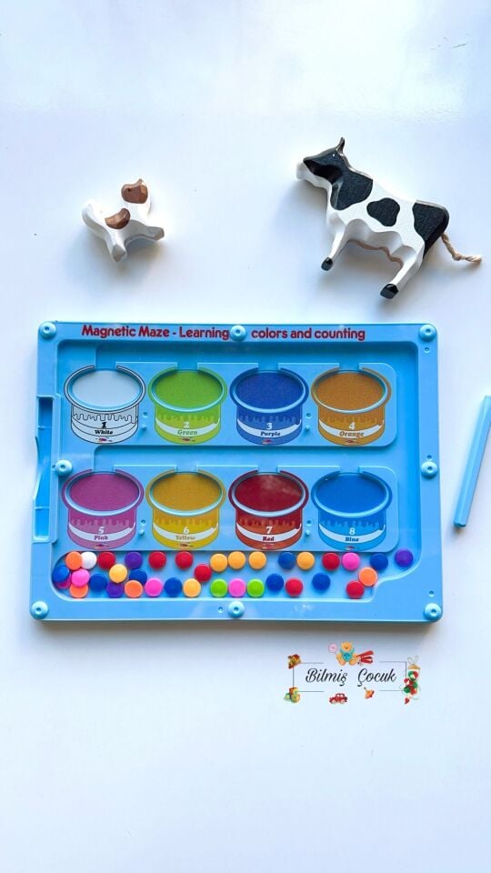 Mıknatıslı Steam Renkler ve Sayılar Eğitim Tahtası