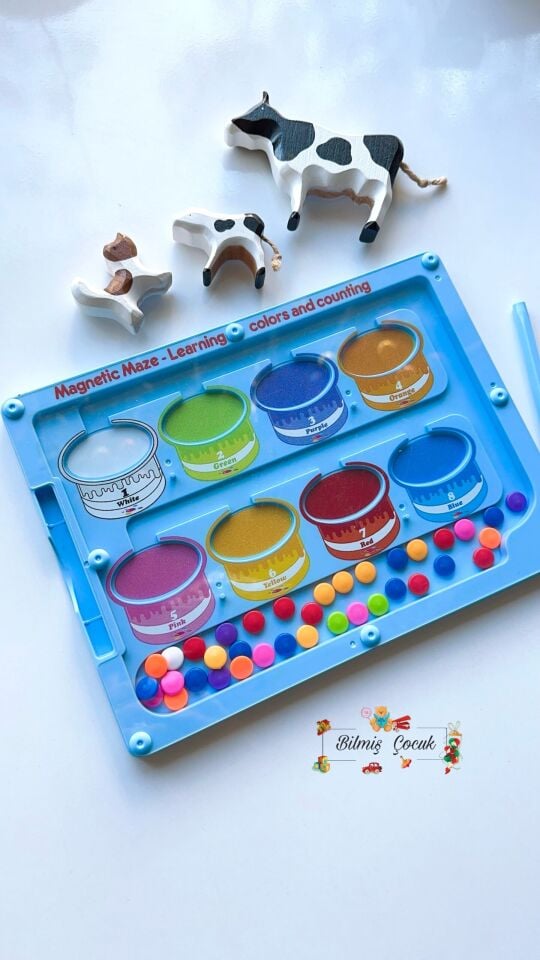 Mıknatıslı Steam Renkler ve Sayılar Eğitim Tahtası