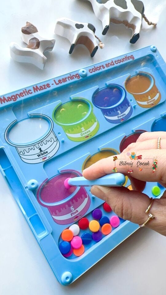 Mıknatıslı Steam Renkler ve Sayılar Eğitim Tahtası
