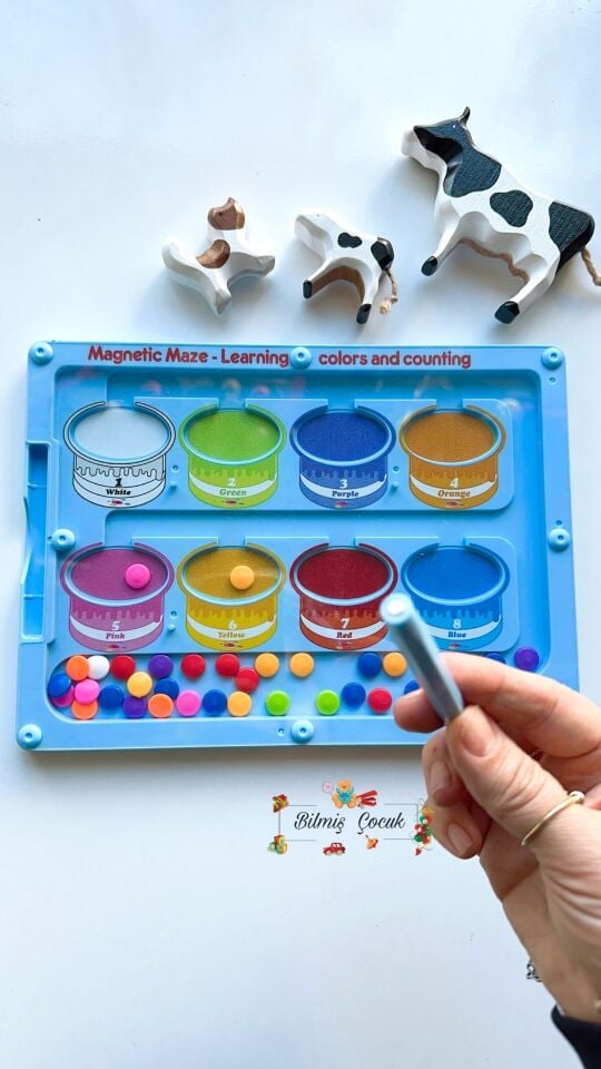 Mıknatıslı Steam Renkler ve Sayılar Eğitim Tahtası