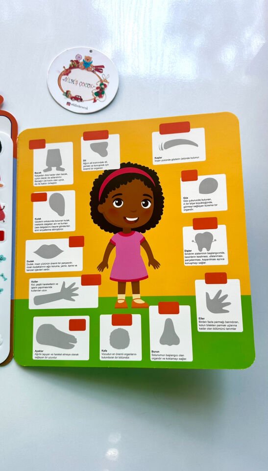 Tekrar Kullanılabilen İlk Sticker Kitabım – Vücudum