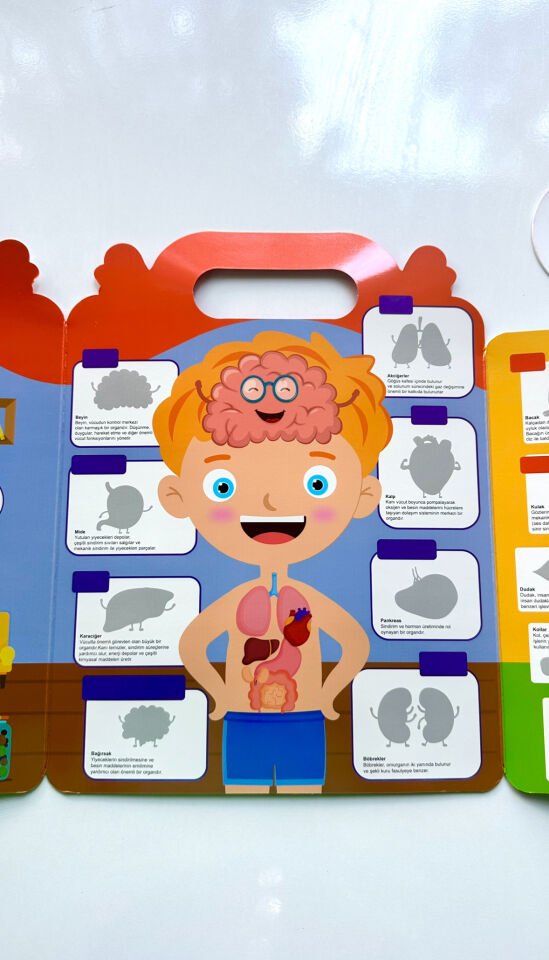 Tekrar Kullanılabilen İlk Sticker Kitabım – Vücudum