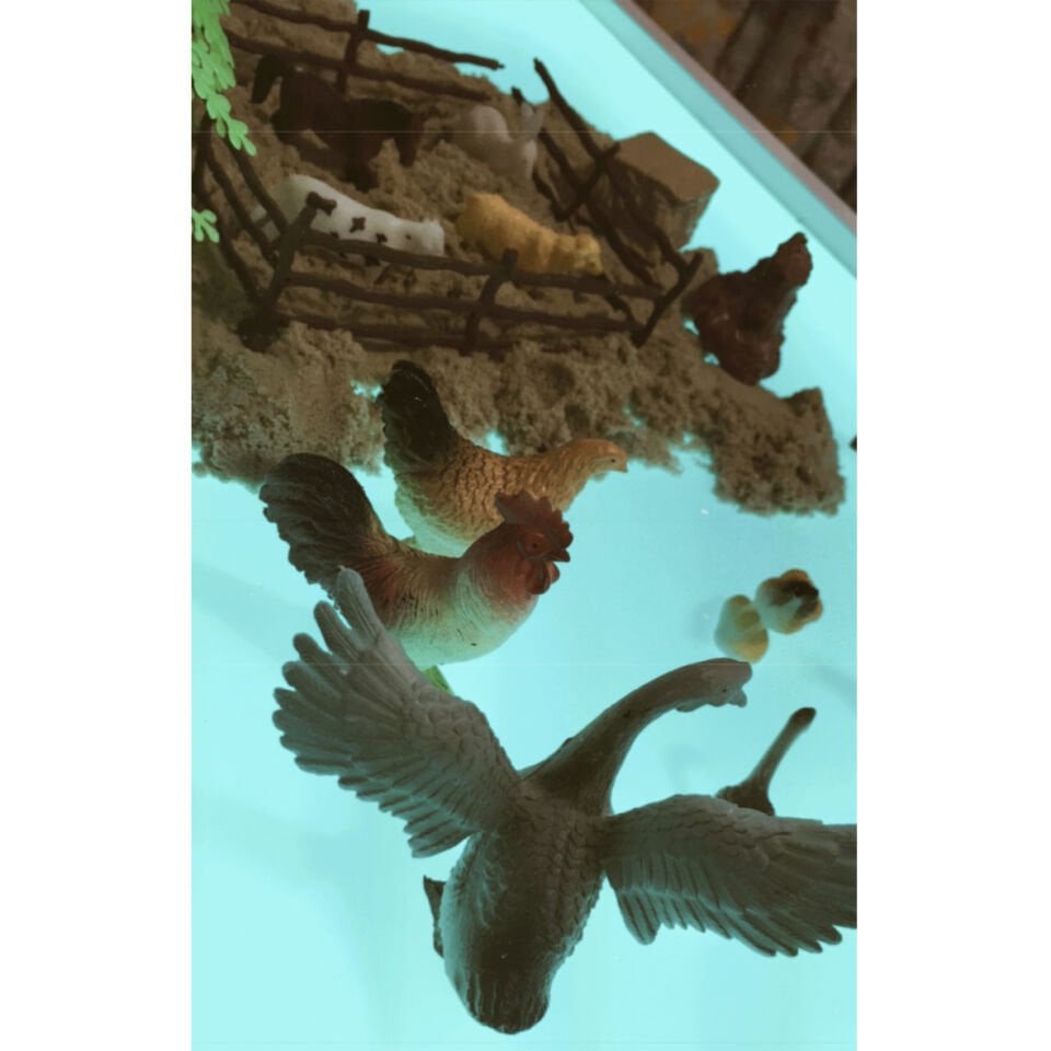 Ahşap ışıklı Tabla Montessori 16 Renkli (Reggio Emilia tablası Ayaksız)