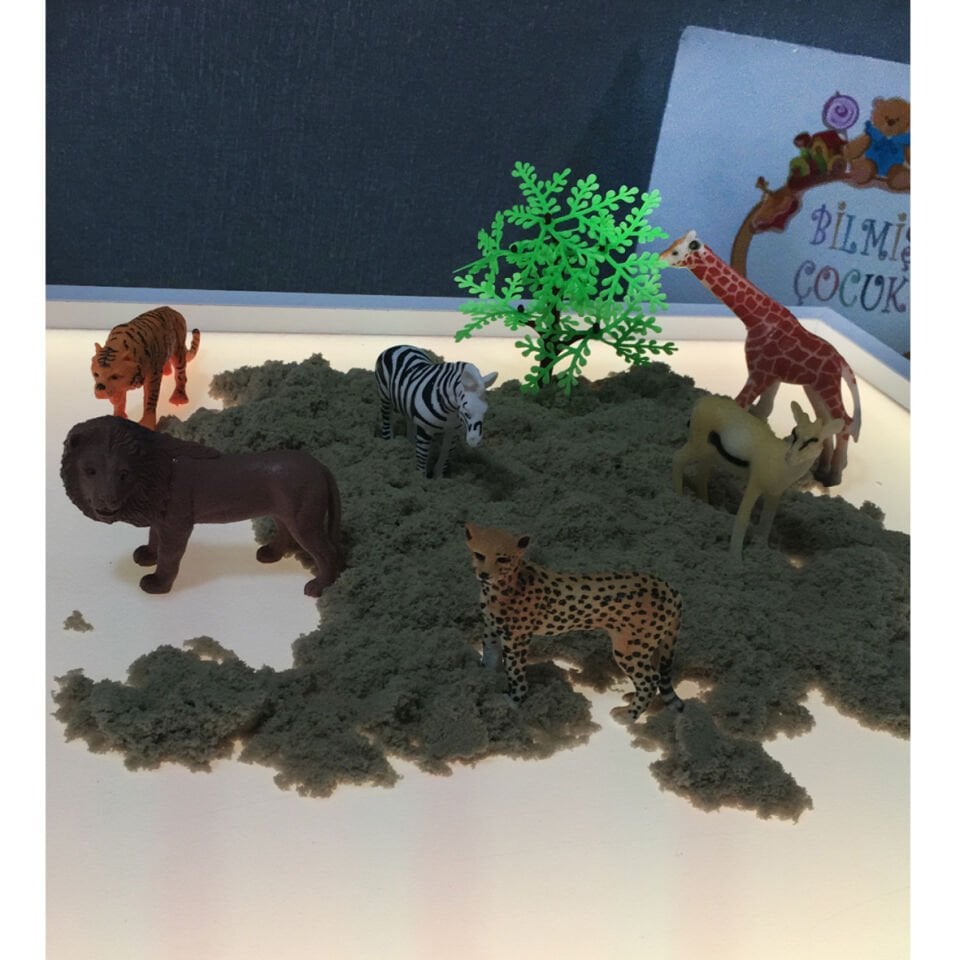 Ahşap ışıklı Tabla Montessori 16 Renkli (Reggio Emilia tablası Ayaksız)