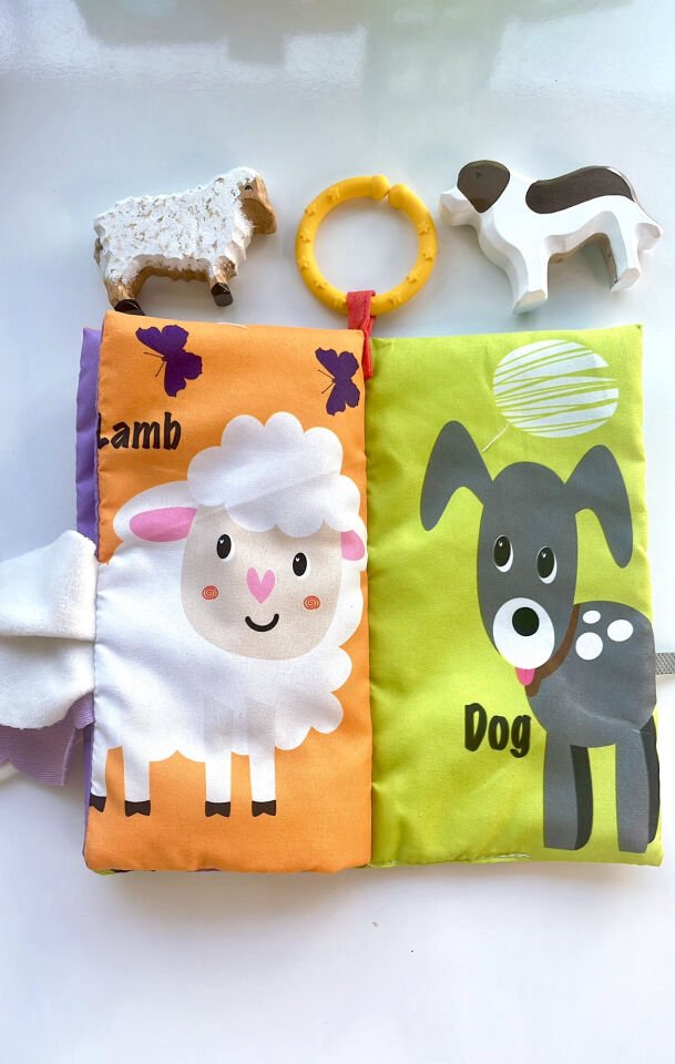 Hışırtılı Çiflik Hayvanları Kitabı