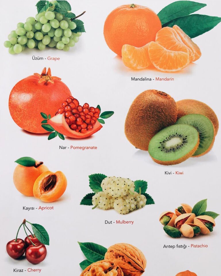 Ne Sorsan Bilir Minik – Benim İlk Bitkiler Kitabım