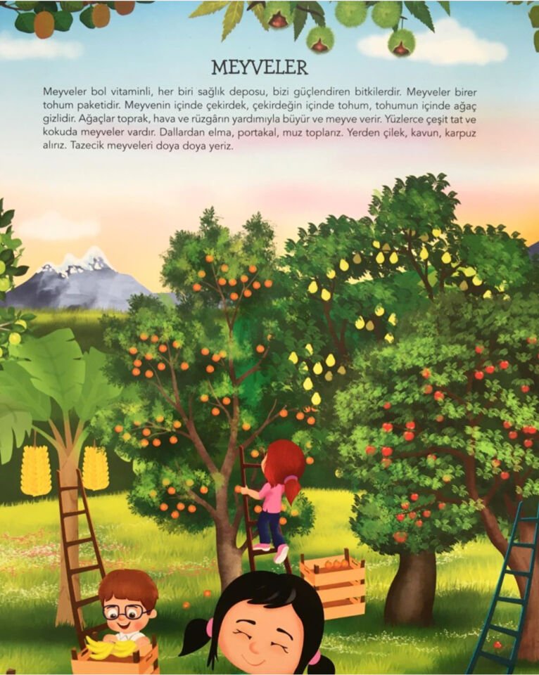 Ne Sorsan Bilir Minik – Benim İlk Bitkiler Kitabım