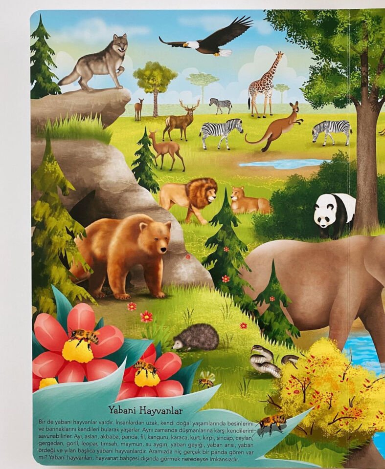 Ne Sorsan Bilir Minik – Benim İlk Büyük Hayvanlar Kitabım