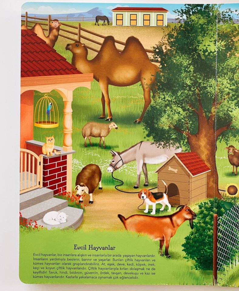 Ne Sorsan Bilir Minik – Benim İlk Büyük Hayvanlar Kitabım