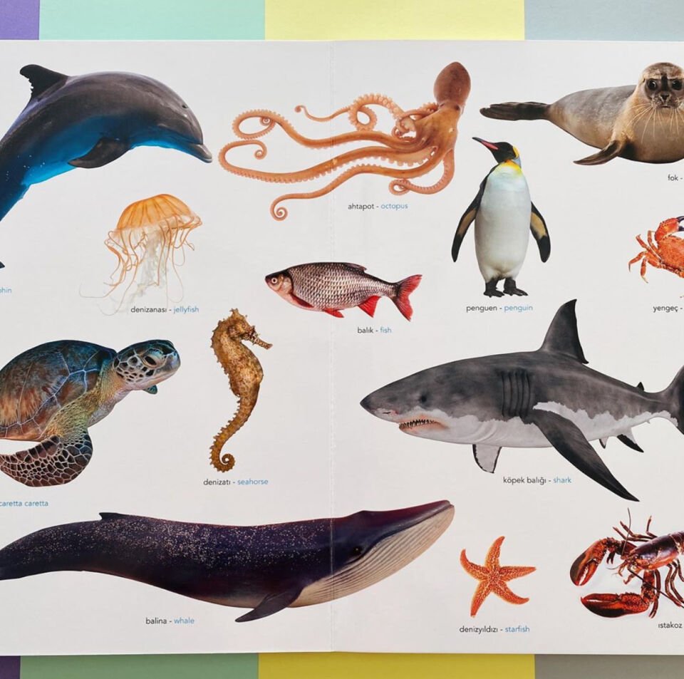 Ne Sorsan Bilir Minik – Benim İlk Büyük Hayvanlar Kitabım