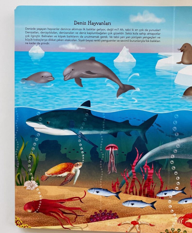 Ne Sorsan Bilir Minik – Benim İlk Büyük Hayvanlar Kitabım