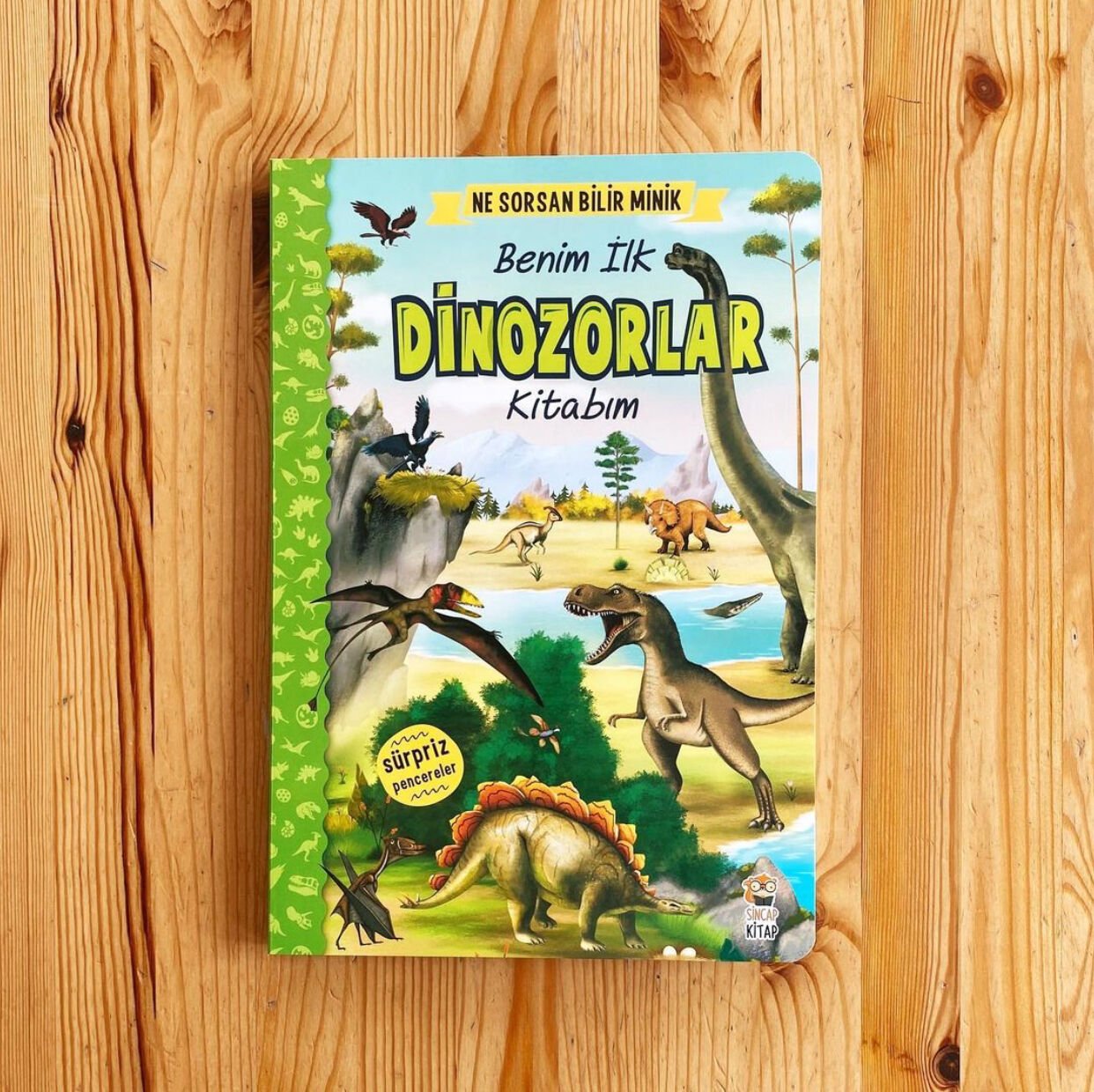Ne Sorsan Bilir Minik – Benim İlk Dinazorlar Kitabım