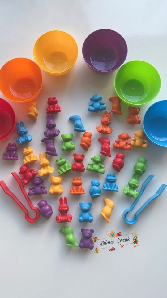 Montessori Eğitici Eğlenceli Sevimli Hayvanlar Aktarım Seti 44 Parça