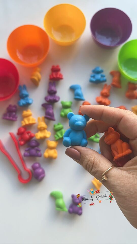 Montessori Eğitici Eğlenceli Sevimli Hayvanlar Aktarım Seti 44 Parça