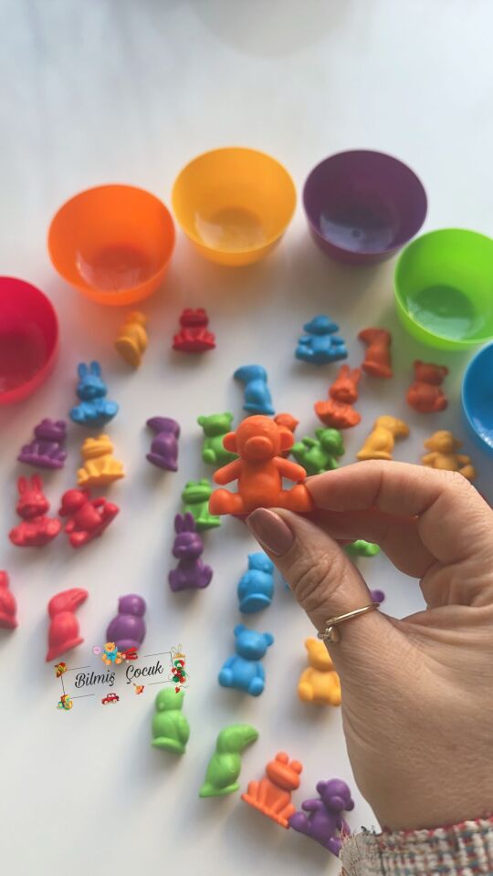 Montessori Eğitici Eğlenceli Sevimli Hayvanlar Aktarım Seti 44 Parça