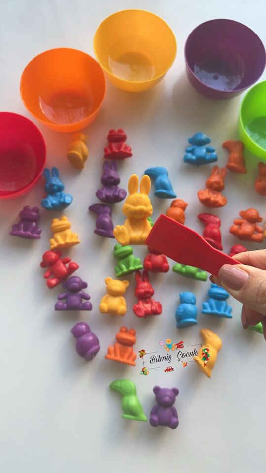 Montessori Eğitici Eğlenceli Sevimli Hayvanlar Aktarım Seti 44 Parça