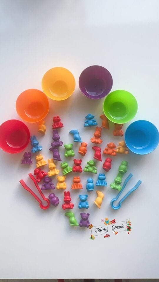 Montessori Eğitici Eğlenceli Sevimli Hayvanlar Aktarım Seti 44 Parça