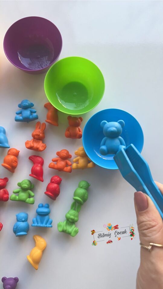 Montessori Eğitici Eğlenceli Sevimli Hayvanlar Aktarım Seti 44 Parça