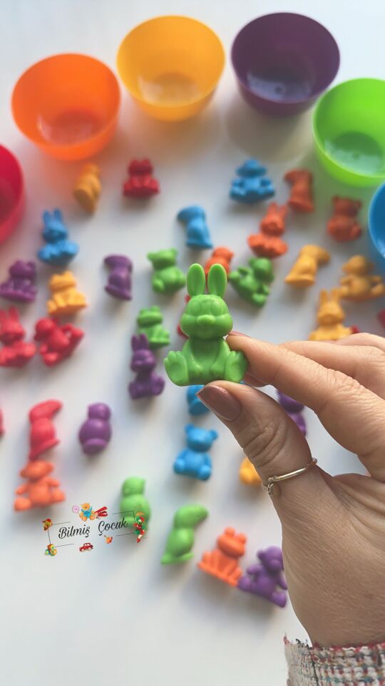 Montessori Eğitici Eğlenceli Sevimli Hayvanlar Aktarım Seti 44 Parça