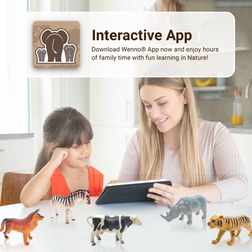 Oyuncak Çiftlik Hayvan Seti 10 Parça Kutulu