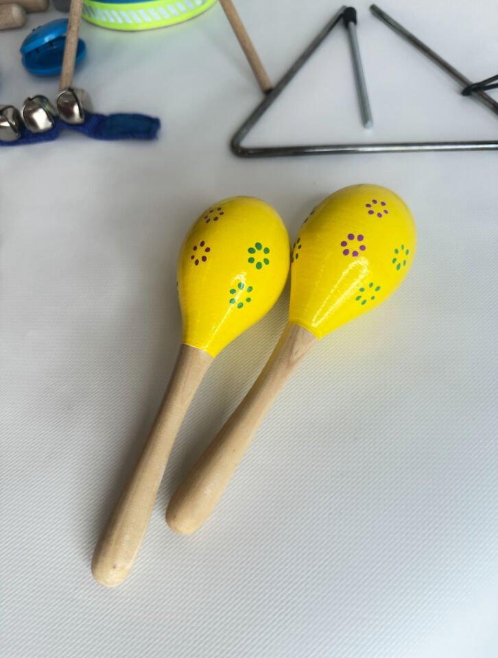 Çocuk Müzik Aletleri Seti