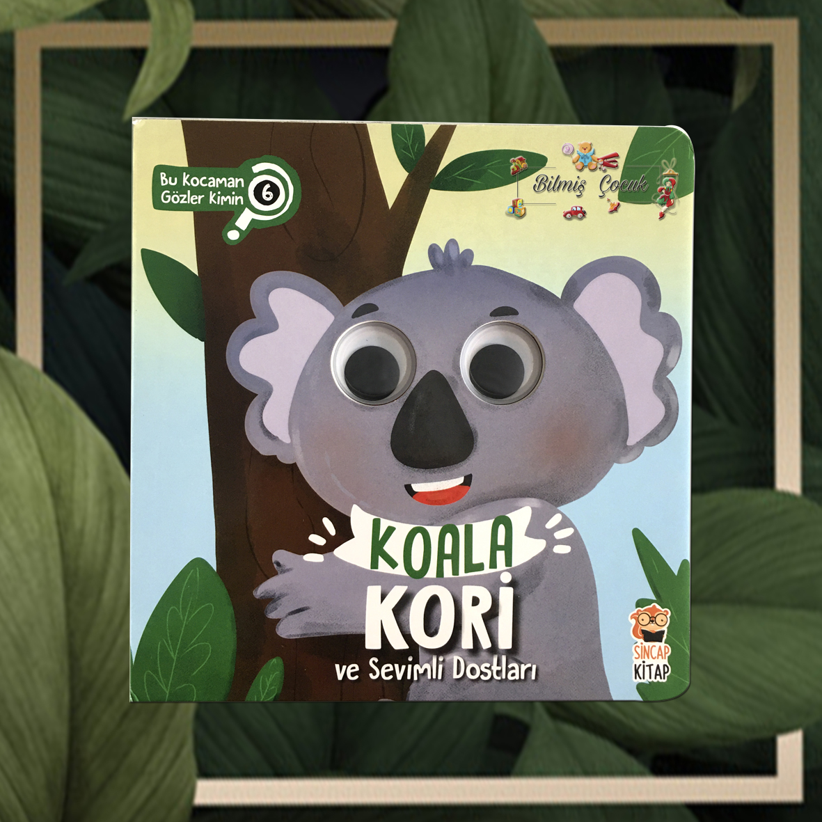 Koala Kori ve Sevimli Dostları – Bu Kocaman Gözler Kimin?